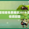 小草观看免费播放2019 国足低调回国