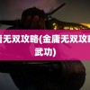 金庸无双攻略(金庸无双攻略全武功)