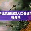 黑料正能量网站入口在线观看 野孩子