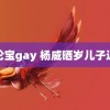 王伦宝gay 杨威晒岁儿子近况