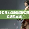 最终幻想12攻略(最终幻想12攻略图文版)