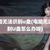 电脑无法识别u盘(电脑无法识别U盘怎么办呀)