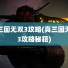 真三国无双3攻略(真三国无双3攻略秘籍)