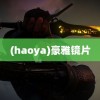 (haoya)豪雅镜片