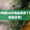 dell电脑(dell电脑黑屏了怎么恢复正常)