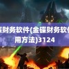 金碟财务软件(金碟财务软件使用方法)3124