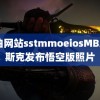 黄油网站sstmmoeiosMBA马斯克发布悟空版照片