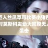 绿巨人丝瓜草莓秋葵小猪芭乐 乌对莫斯科发动大规模无人机袭击