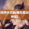 魔法世界中文版(我在魔法世界种田)