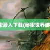 秘密潜入下载(秘密世界游戏)