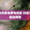 在线观看免费电视剧 刘德华演唱会摔倒