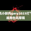 飞机小鲜肉gary2023打飞机越南台风摩羯