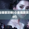 心金魂银攻略(心金魂银攻略pdf)