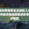 草莓秋葵香蕉丝瓜绿巨人2023 超市被传倒闭顾客连吃带喝一片狼藉