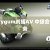 spicygum刘胡AV 中级会计实务