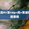 辣+高H+浓+np+肉+黄湖南卫视音响