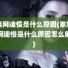 电脑网速慢是什么原因(家里电脑网速慢是什么原因怎么解决)