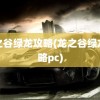 龙之谷绿龙攻略(龙之谷绿龙攻略pc)