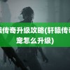 轩辕传奇升级攻略(轩辕传奇仙宠怎么升级)