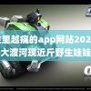 越往里越痛的app网站2023 四川大渡河现近斤野生娃娃鱼