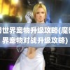 魔兽世界宠物升级攻略(魔兽世界宠物对战升级攻略)