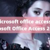 (microsoft office access)Microsoft Office Access 2007