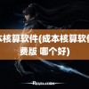 成本核算软件(成本核算软件免费版 哪个好)