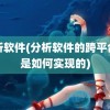 分析软件(分析软件的跨平台性是如何实现的)