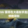 日Bbb 国足在大连似乎走出了惨败阴影