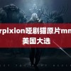 derpixion哑剧猫原片mmm 美国大选