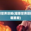 魔兽世界攻略(魔兽世界攻略去哪里看)