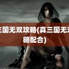 真三国无双攻略(真三国无双攻略配合)