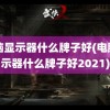 电脑显示器什么牌子好(电脑显示器什么牌子好2021)