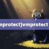 (vmprotect)vmprotect 3.6