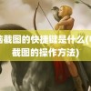 电脑截图的快捷键是什么(电脑截图的操作方法)