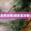 龙将攻略(暗影龙攻略)