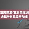 王者荣耀攻略(王者荣耀攻略网去掉所有服装无布料)