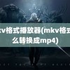 mkv格式播放器(mkv格式怎么转换成mp4)