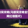 马蜂窝攻略(马蜂窝攻略全世界网红墙图片)