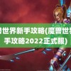 魔兽世界新手攻略(魔兽世界新手攻略2022正式服)