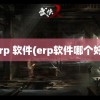 erp 软件(erp软件哪个好)