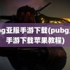 pubg亚服手游下载(pubg亚服手游下载苹果教程)