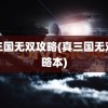 真三国无双攻略(真三国无双攻略本)