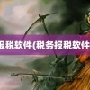 报税软件(税务报税软件)