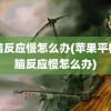 电脑反应慢怎么办(苹果平板电脑反应慢怎么办)