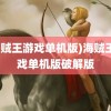 (海贼王游戏单机版)海贼王游戏单机版破解版