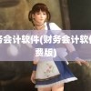 财务会计软件(财务会计软件免费版)