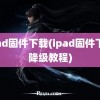 ipad固件下载(ipad固件下载降级教程)