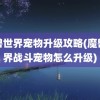 魔兽世界宠物升级攻略(魔兽世界战斗宠物怎么升级)