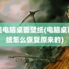 欧美电脑桌面壁纸(电脑桌面壁纸怎么恢复原来的)